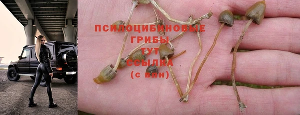 винт Нефтекумск
