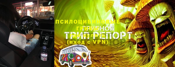 сатива Нефтегорск
