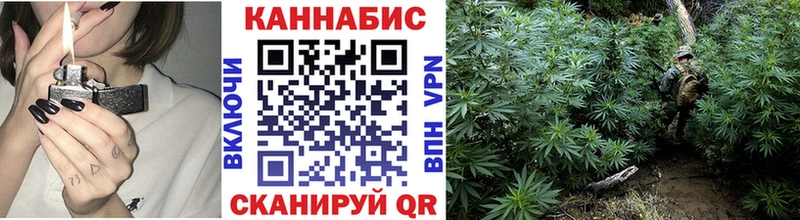 Шишки марихуана марихуана  блэк спрут как зайти  shop наркотические препараты  Балей 